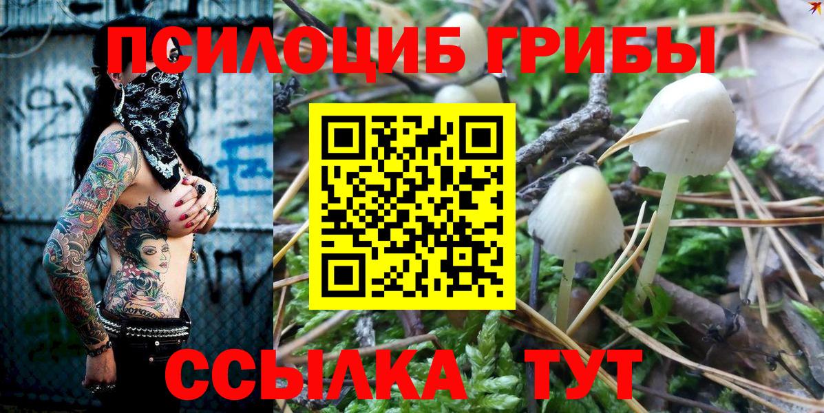 Галлюциногенные грибы прущие грибы Мыски