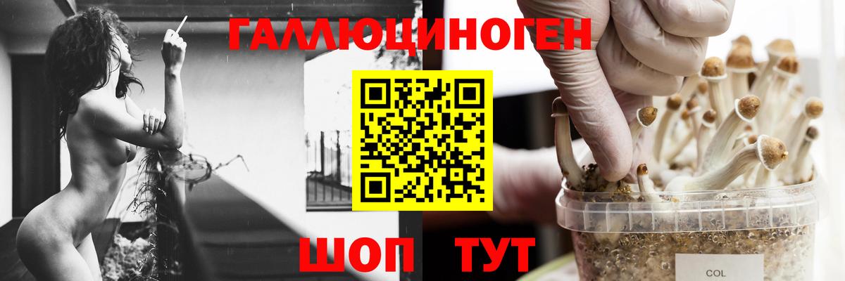 Псилоцибиновые грибы MAGIC MUSHROOMS  Вход с VPN  Мыски  Галлюциногенные грибы Psilocybe 